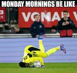 Mornings memes