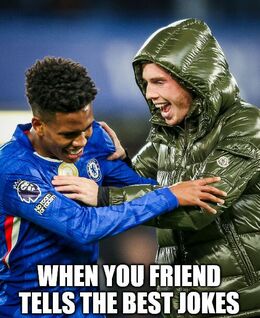 Best jokes funny memes