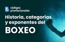 Historia y divisiones del boxeo